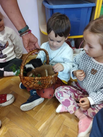 Zdjęcie WhatsApp 2025-09-17 o 15.00.22_f2c9c28b