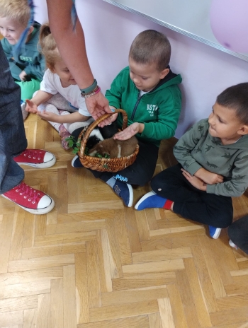 Zdjęcie WhatsApp 2025-09-17 o 15.00.23_86544b43