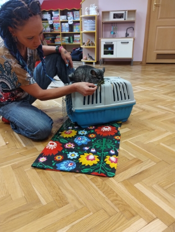 Zdjęcie WhatsApp 2025-09-17 o 15.00.25_6d3bcd8c