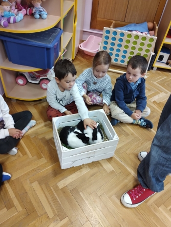 Zdjęcie WhatsApp 2025-09-17 o 15.00.25_bd1e0fba