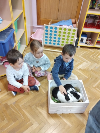 Zdjęcie WhatsApp 2025-09-17 o 15.00.25_f27f1199