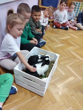 Zdjęcie WhatsApp 2025-09-17 o 15.00.26_1a3bb11e