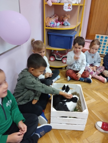 Zdjęcie WhatsApp 2025-09-17 o 15.00.26_68b882f8