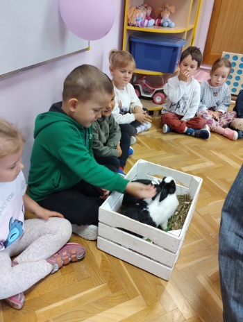 Zdjęcie WhatsApp 2025-09-17 o 15.00.26_96f85f28