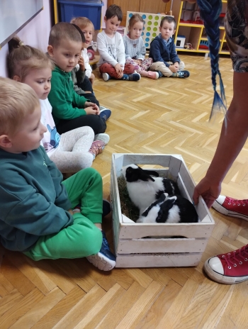 Zdjęcie WhatsApp 2025-09-17 o 15.00.27_5edef9f2