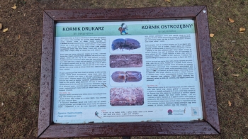 Zdjęcie WhatsApp 2025-10-02 o 12.08.47_1174f406