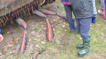 Zdjęcie WhatsApp 2025-10-02 o 12.08.50_27b8201c