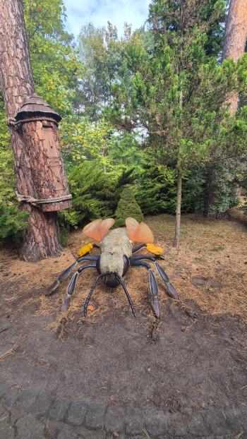 Zdjęcie WhatsApp 2025-10-02 o 12.10.18_7568144b