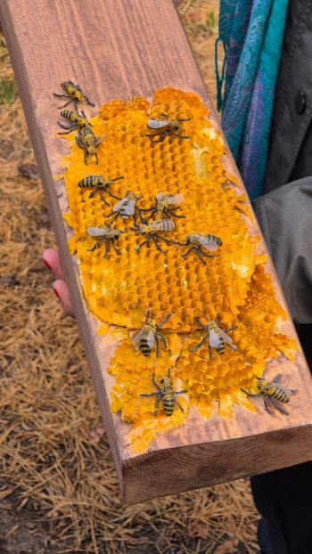 Zdjęcie WhatsApp 2025-10-02 o 12.10.18_a6462955