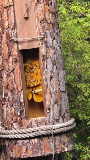 Zdjęcie WhatsApp 2025-10-02 o 12.10.18_b2d98e93