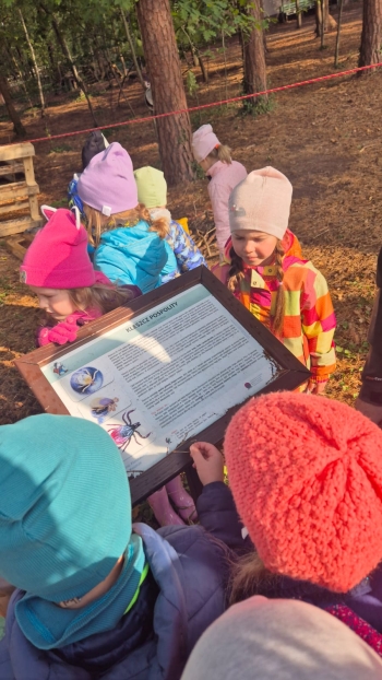 Zdjęcie WhatsApp 2025-10-02 o 12.10.20_0db6bcbc