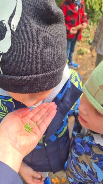 Zdjęcie WhatsApp 2025-10-02 o 12.10.21_6dc7cb1a