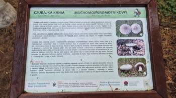 Zdjęcie WhatsApp 2025-10-02 o 12.10.26_16a7ac86