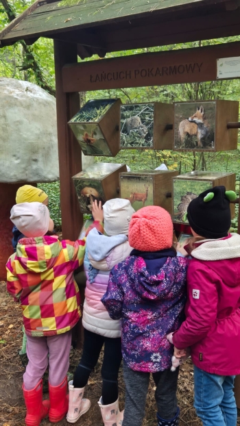 Zdjęcie WhatsApp 2025-10-02 o 12.10.28_42cd43ef