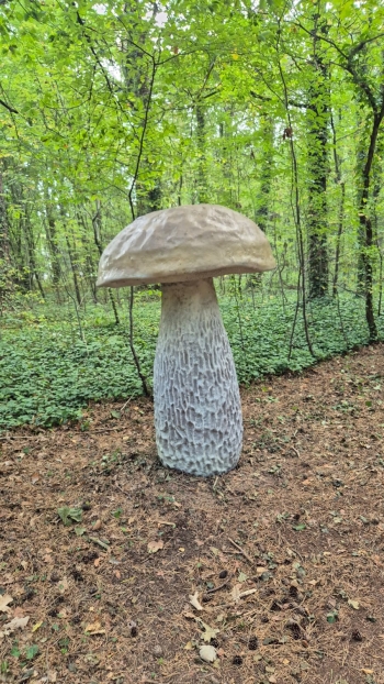 Zdjęcie WhatsApp 2025-10-02 o 12.10.27_deb3af24