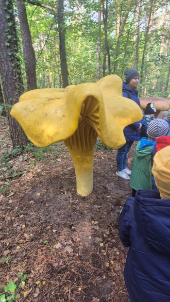 Zdjęcie WhatsApp 2025-10-02 o 12.10.31_70c210a0