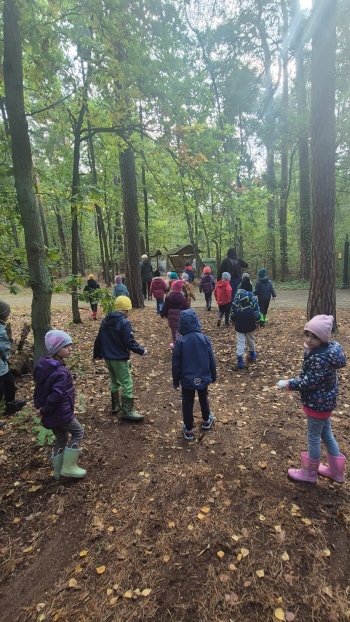 Zdjęcie WhatsApp 2025-10-02 o 12.10.31_a69cc9cd