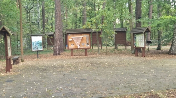 Zdjęcie WhatsApp 2025-10-02 o 12.10.33_98d9dd42