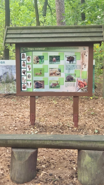 Zdjęcie WhatsApp 2025-10-02 o 12.10.36_5a4c0e0e