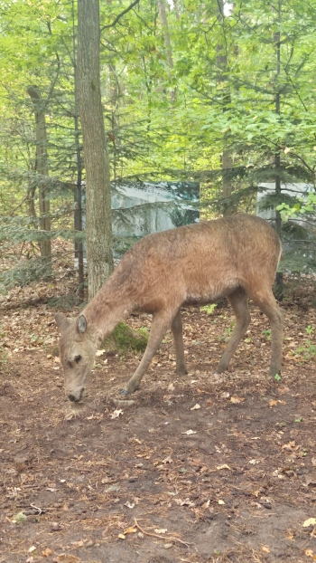 Zdjęcie WhatsApp 2025-10-02 o 12.10.36_58619d36