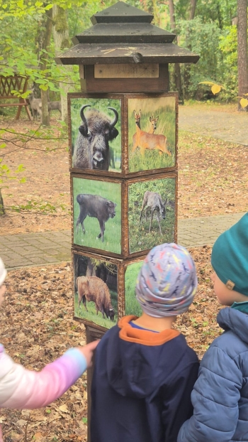 Zdjęcie WhatsApp 2025-10-02 o 12.10.37_0a4b554d