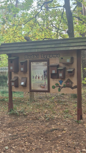 Zdjęcie WhatsApp 2025-10-02 o 12.10.40_27d8bd79