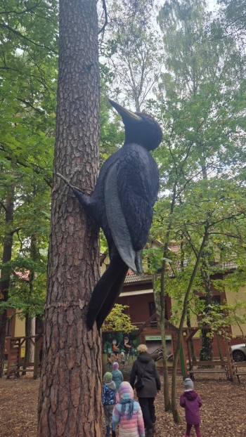 Zdjęcie WhatsApp 2025-10-02 o 12.10.40_28fe098b