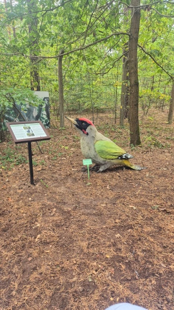 Zdjęcie WhatsApp 2025-10-02 o 12.10.46_b330001b