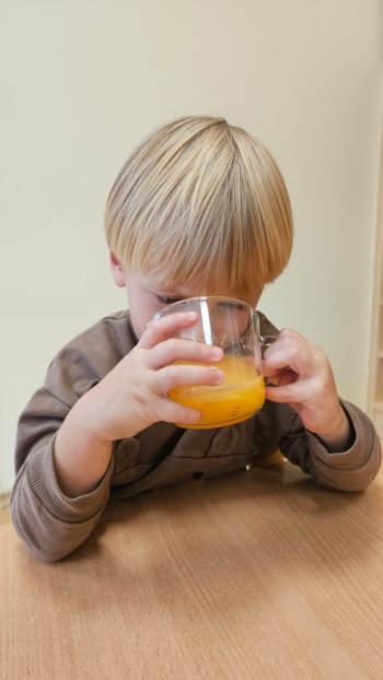 Zdjęcie WhatsApp 2025-10-03 o 13.45.01_262be271