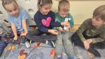 Zdjęcie WhatsApp 2025-10-10 o 14.40.14_528341a7