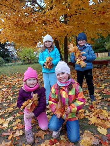 Zdjęcie WhatsApp 2025-10-15 o 16.37.03_e3a6330f