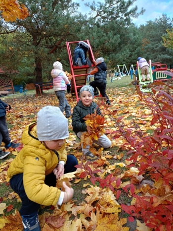 Zdjęcie WhatsApp 2025-10-15 o 16.37.06_5aa12bd8