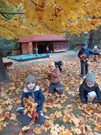 Zdjęcie WhatsApp 2025-10-15 o 16.37.06_4ae797d1