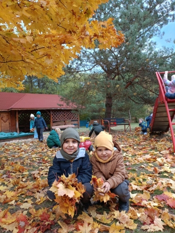 Zdjęcie WhatsApp 2025-10-15 o 16.37.06_69cdd8dc