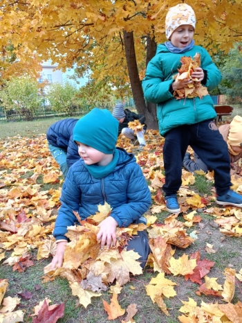 Zdjęcie WhatsApp 2025-10-15 o 16.37.07_243e2f2d