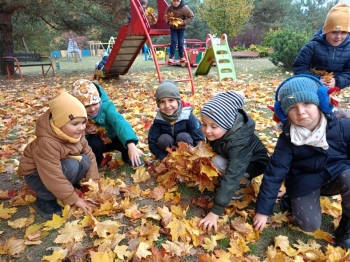 Zdjęcie WhatsApp 2025-10-15 o 16.37.07_86053ef4