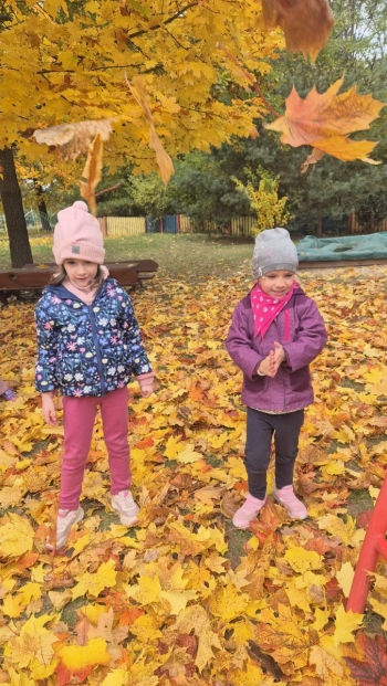 Zdjęcie WhatsApp 2025-10-16 o 12.12.49_245cc754