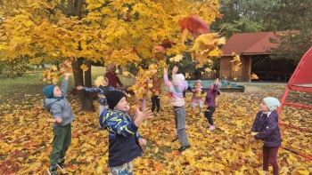 Zdjęcie WhatsApp 2025-10-16 o 12.12.55_1b04e701