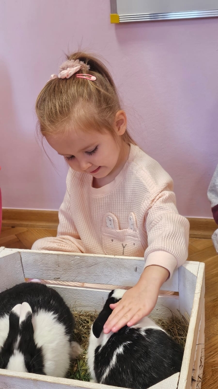 Zwierzęta Dzieciom - warsztaty zoologiczne - 17.09.2025